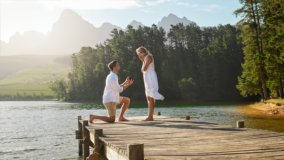 Wedding Proposal Idea